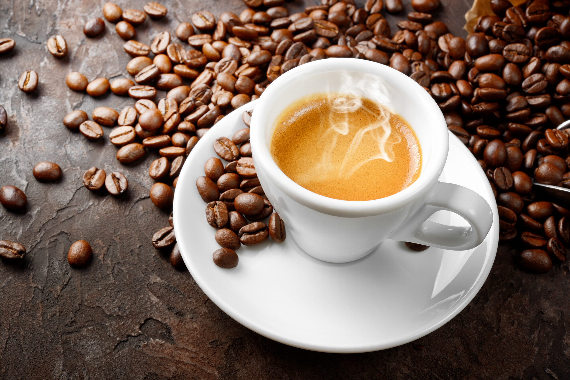 fornitura caffè bar e ristoranti bari consulenza